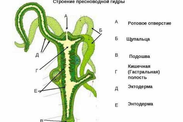 Как через сафари зайти на кракен